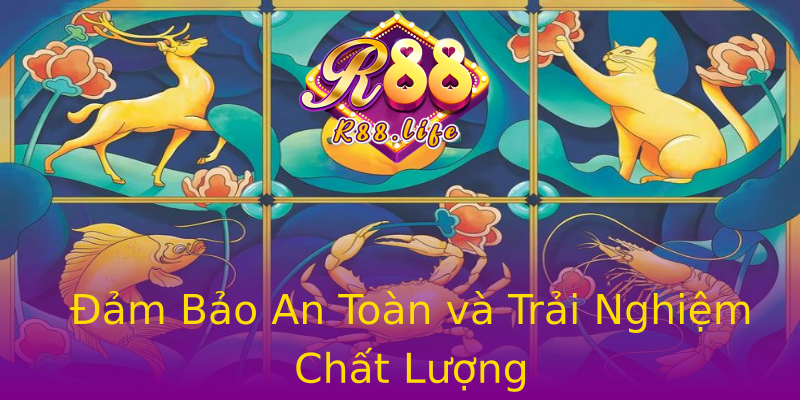 Đảm Bảo An Toàn và Trải Nghiệm Chất Lượng Đảm Bảo An Toàn và Trải Nghiệm Chất Lượng