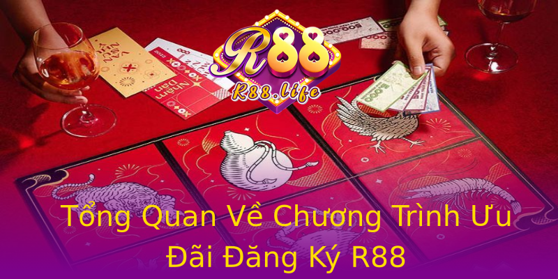 Tổng Quan Về Chương Trình Ưu Đãi Đăng Ký R88 Tổng Quan Về Chương Trình Ưu Đãi Đăng Ký R88